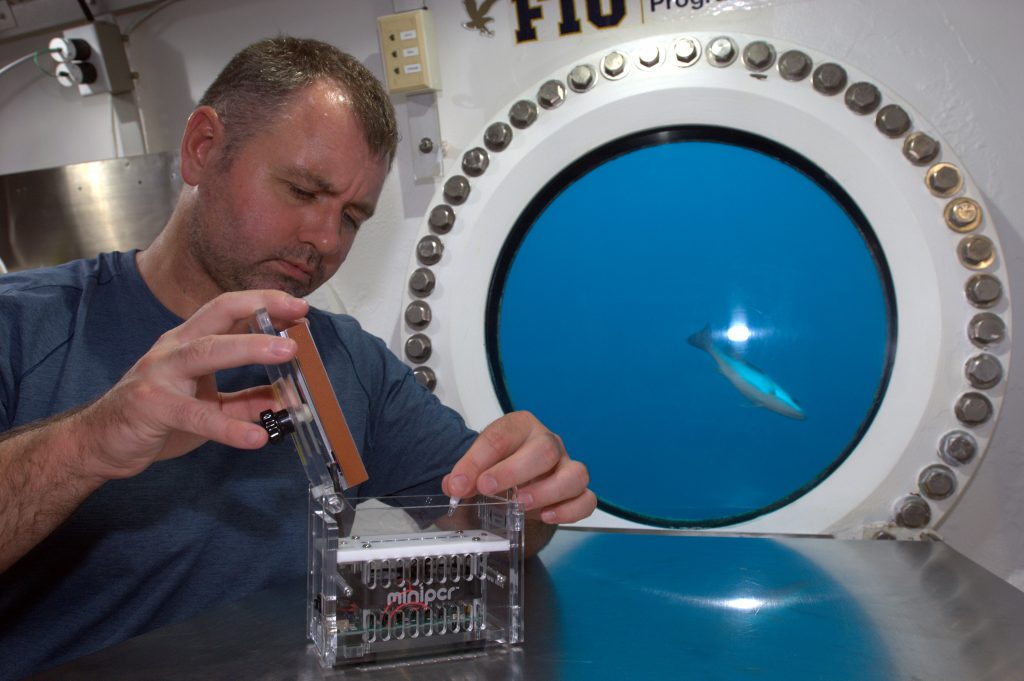 Dr. Marc O Griofa prepares samples for sequencing