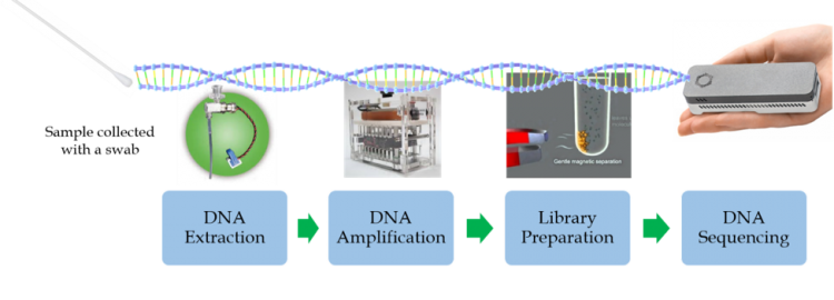 DNA sequence steps