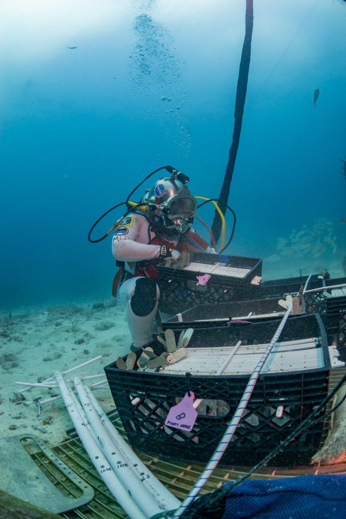 Marc O Griofa collecting tools for building a coral nursery tree