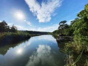 Bayou Texar 12th Avenue Bridge view